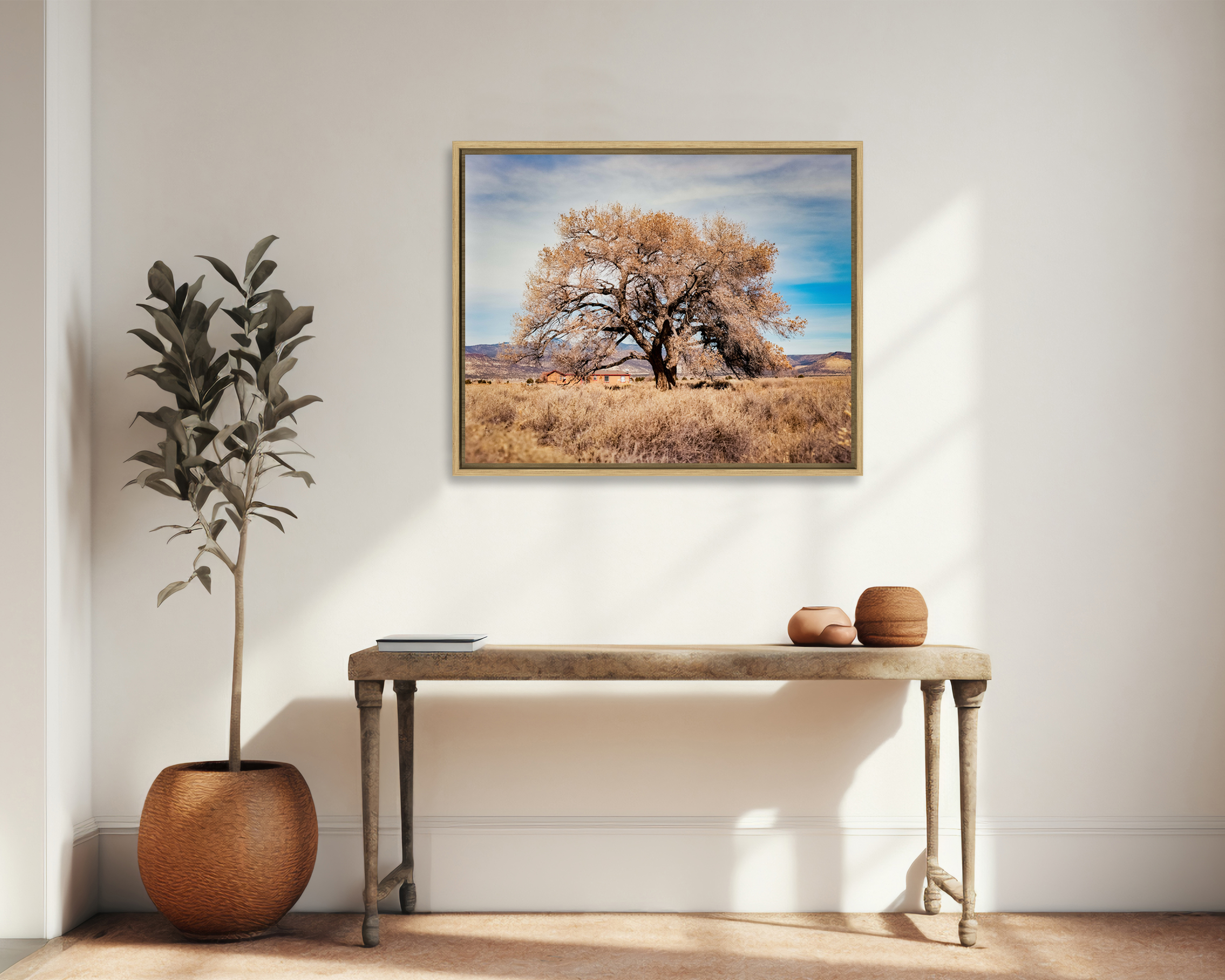 COTTONWOOD TREE Un peuplier règne dans un champ à Cubero, au Nouveau Mexique.