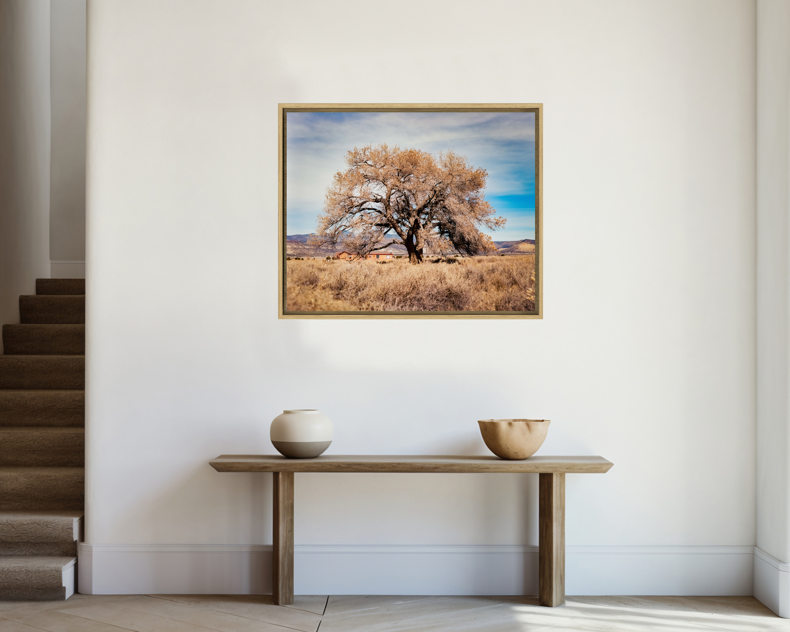 COTTONWOOD TREE Un peuplier règne dans un champ à Cubero, au Nouveau Mexique.