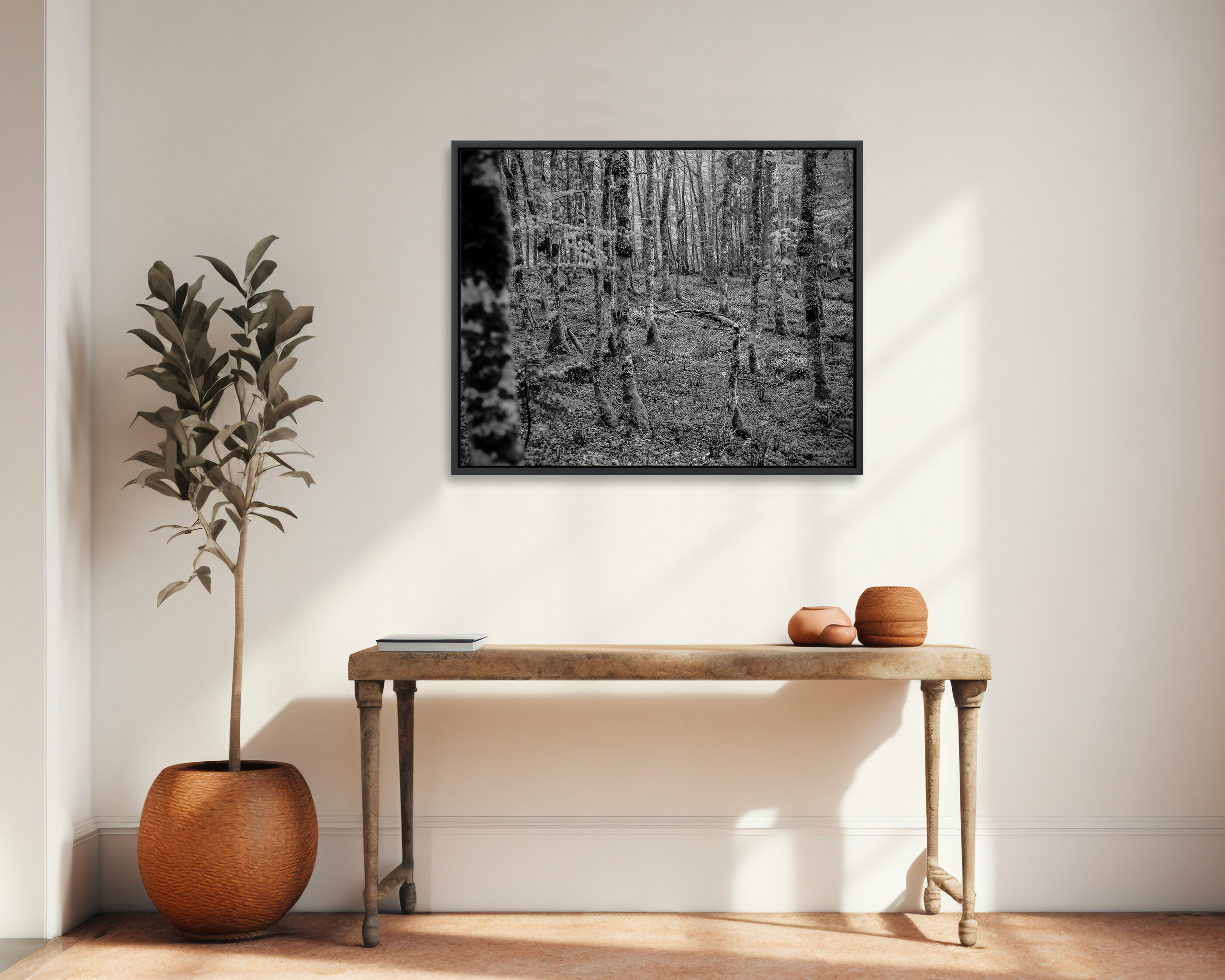 Sous-bois en vallée du Soussouéou en Ossau.